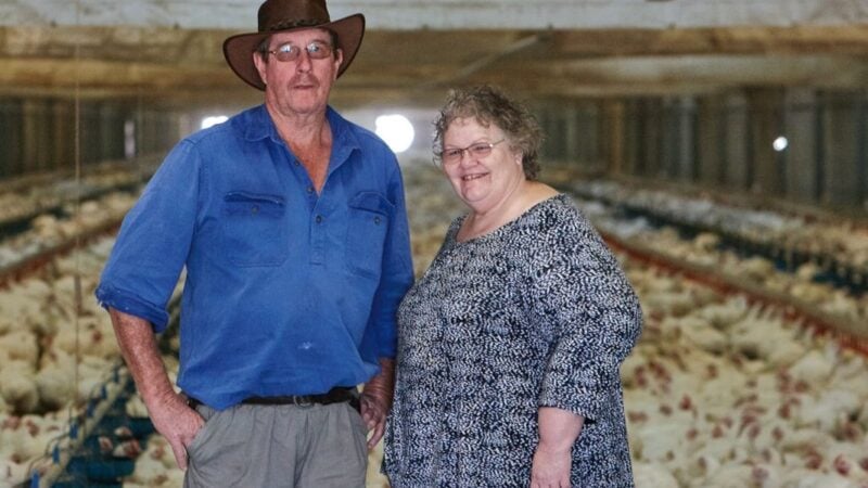 Australia must follow US to protect chicken producers