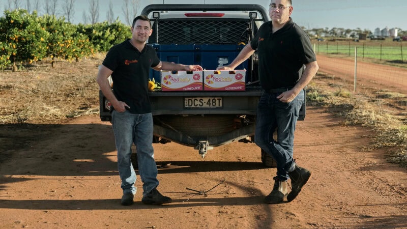 Blood oranges, sweat and toil