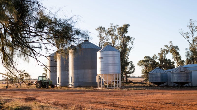 Bumper harvest presents new challenges for grain growers