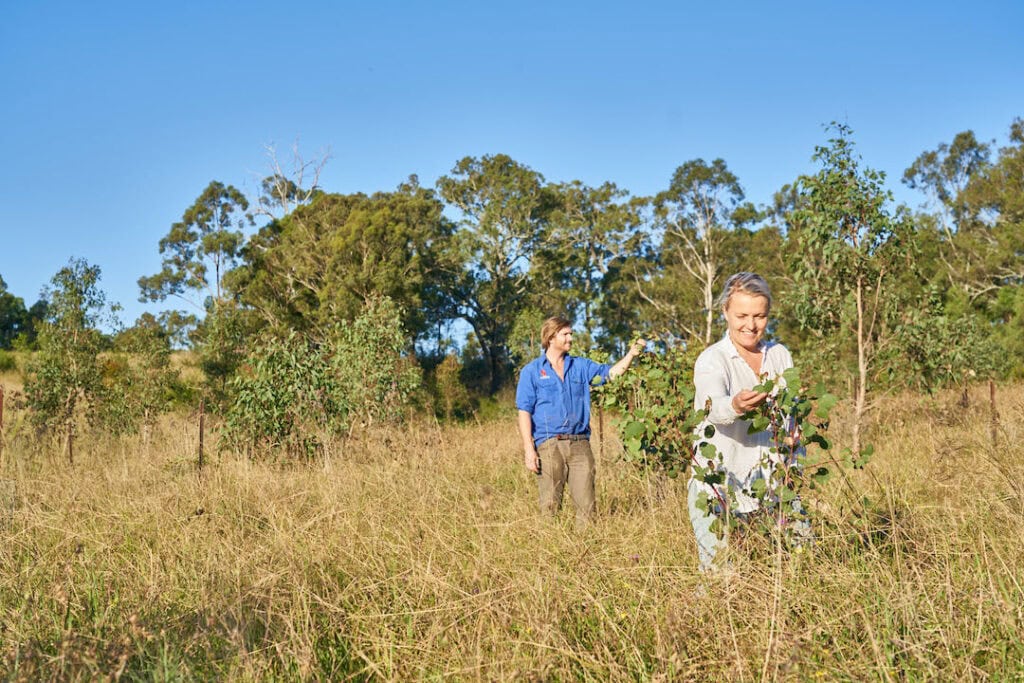 Claire and Max tending to the fields at Brownlow Hill.