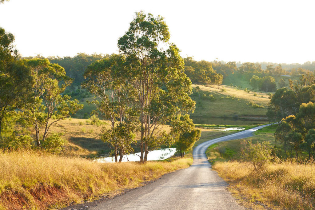 Driveway to Brownlow Hill