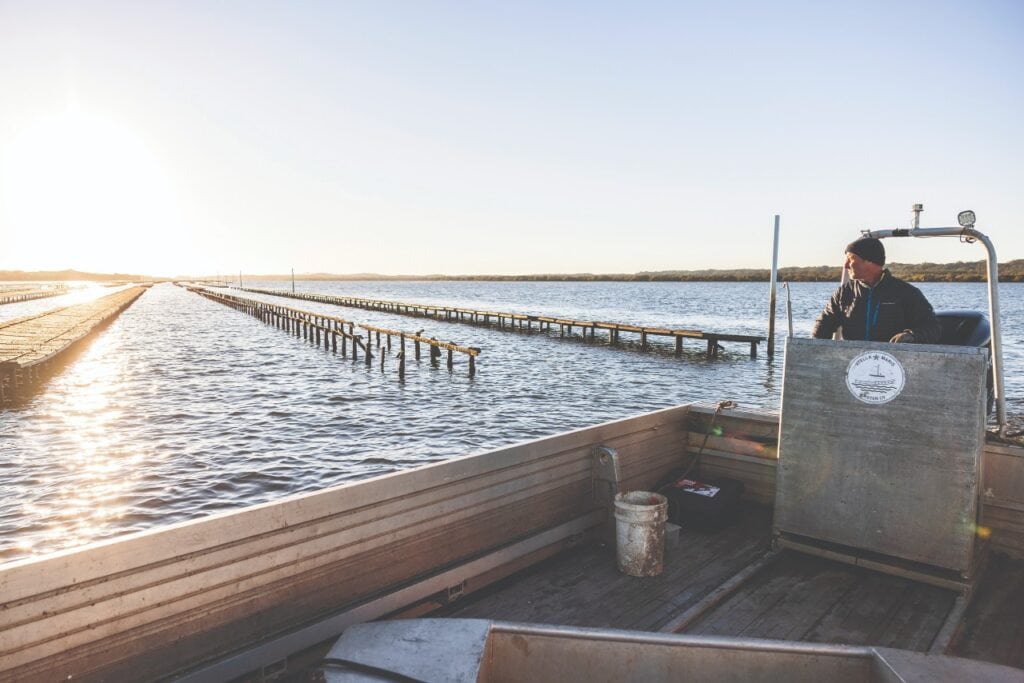 oyster farmers