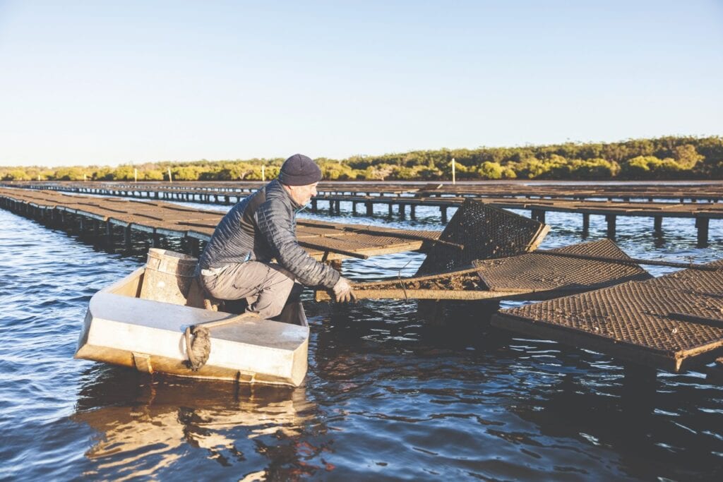 oyster farmers