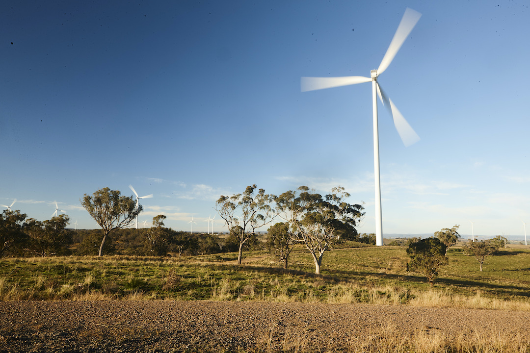 Wind farming in nsw