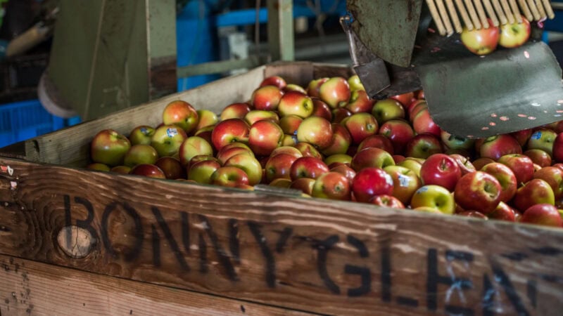 Fruit and vegie retail prices up, but no change for growers