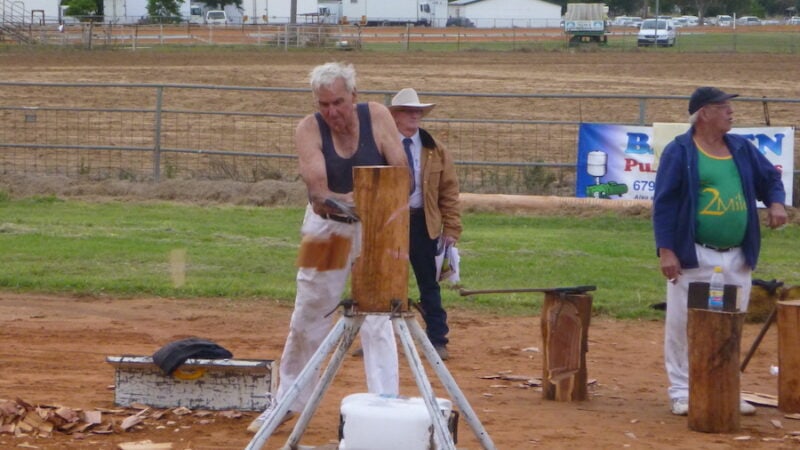 Meet a member: a wood chopping icon