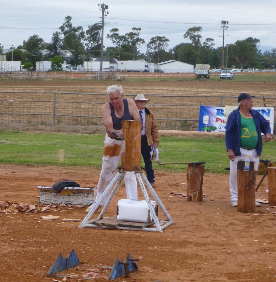 Meet a member: a wood chopping icon