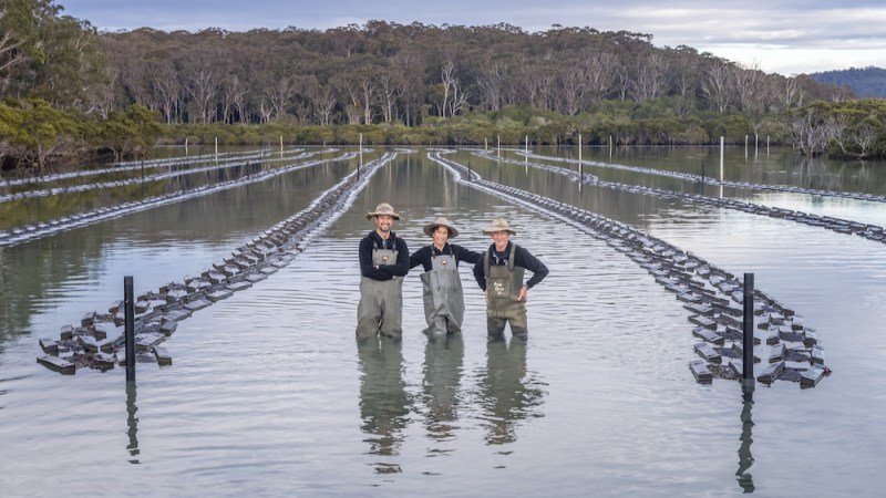 NSW farmers win awards in an impressive streak