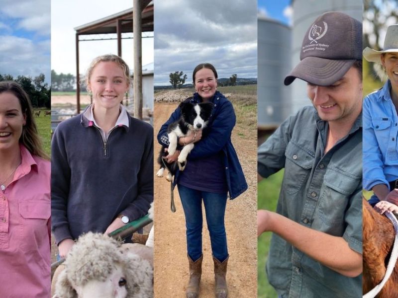 5x NSW Farmers' scholarship recipients