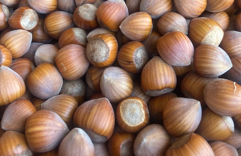 Cracking open the hazelnut industry