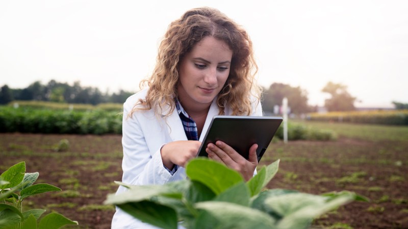 Careers in agriculture: the brave new world