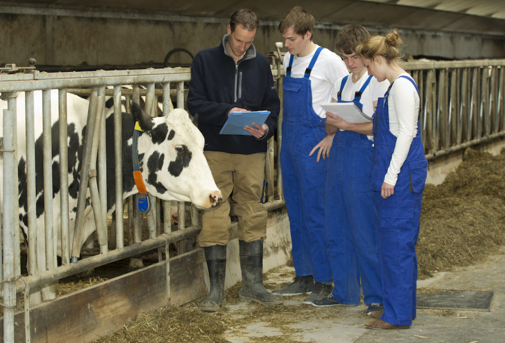 Young dairy farmers and researches pursuing careers in agriculture
