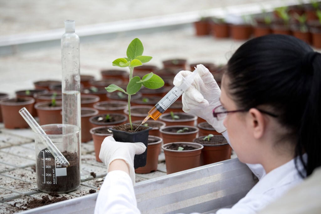 These days, scientists have their pick of the careers in agriculture. 