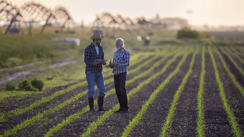 Precision farming: Optimising crop yields with Farmdeck