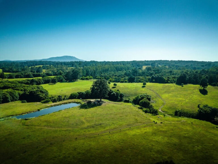 harvestable rights debate continues amongst NSW Farmers