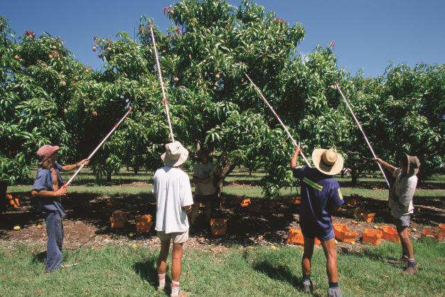 Urgent call for on-farm quarantine