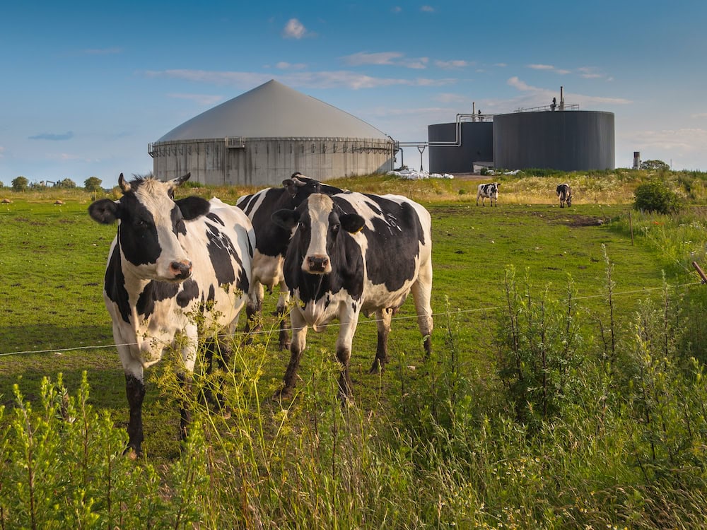 Farmers and the future of bioenergy