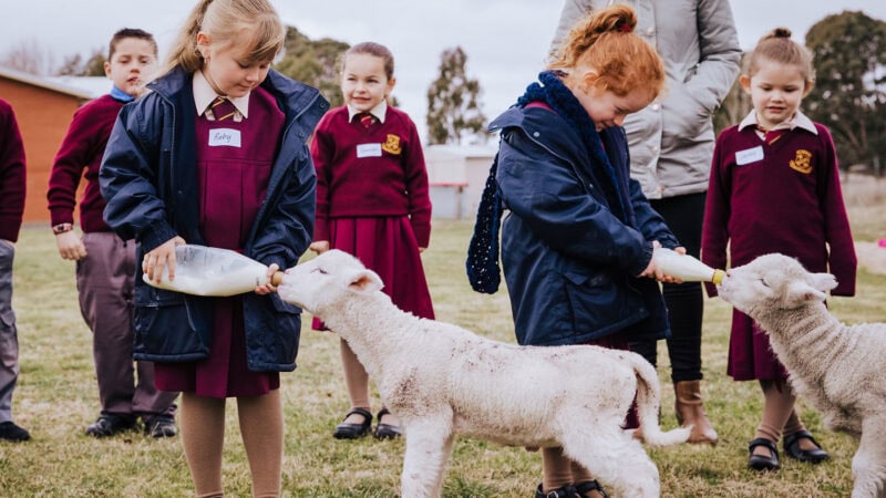 Fun continues for Kids to Farms