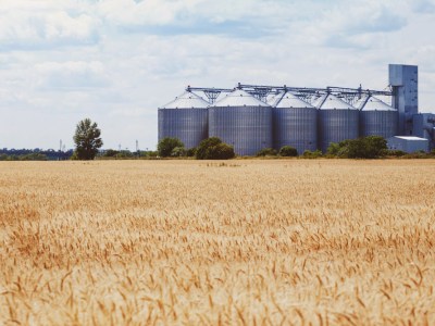 Image from post NSW Farmers welcomes National Grain Freight Strategy