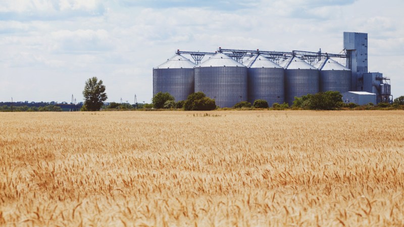 NSW Farmers welcomes National Grain Freight Strategy