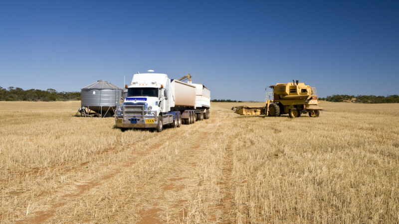 Barley tariffs finally scrapped by China