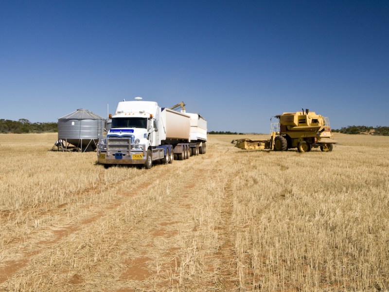 A road train and combine harvester in the fields during the barley harvest.