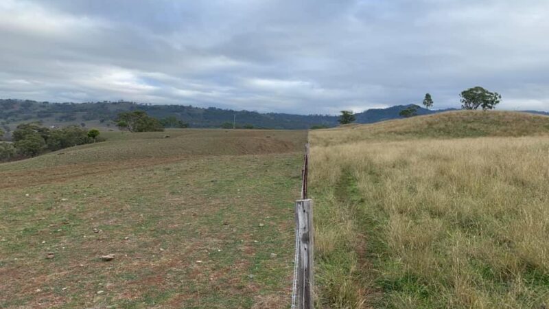 Free Drought Preparedness course