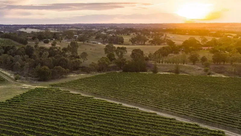 NSW Farmers budget asks: the year ahead