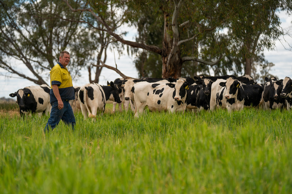 The future is looking bright for the dairy industry in NSW
