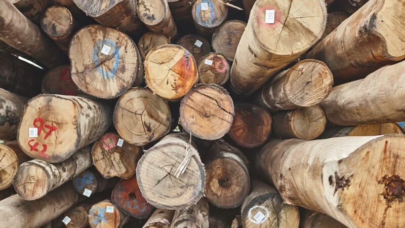 Timber shortage: wood and a hard place