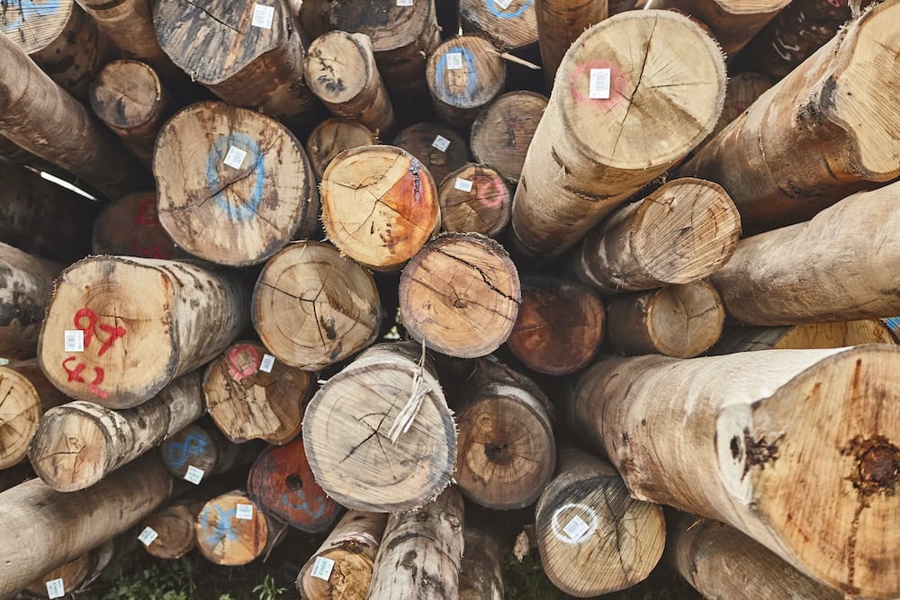 Timber shortage: wood and a hard place