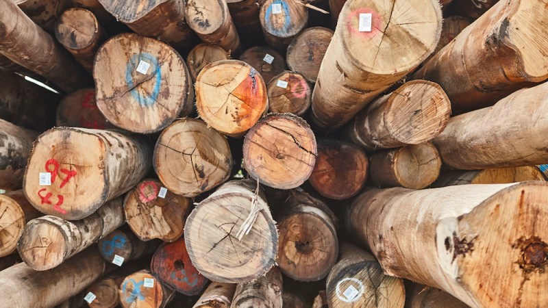 Timber shortage: wood and a hard place