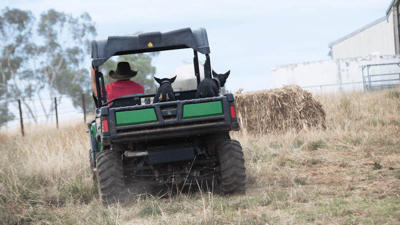 NSW Farm safety program expands