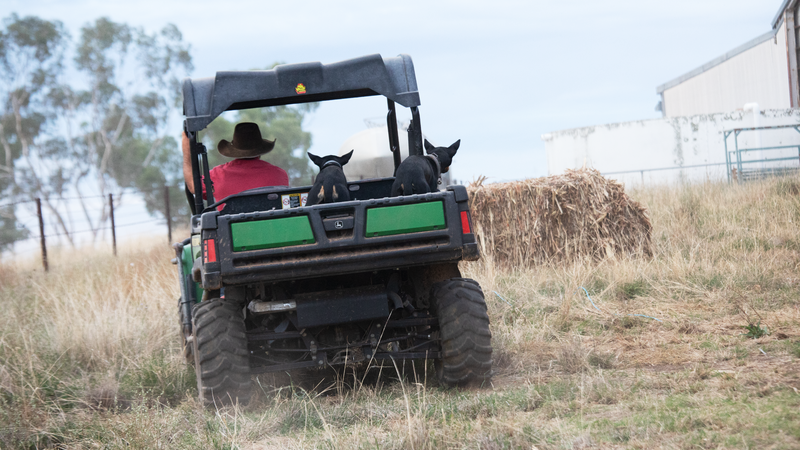 NSW Farm safety program expands