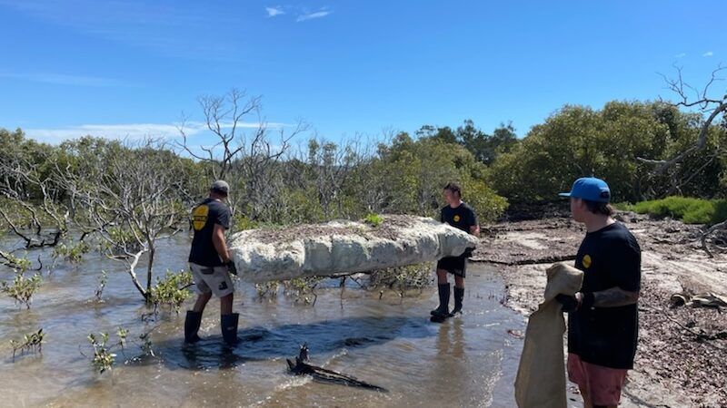 Oyster farmers clean up estuaries