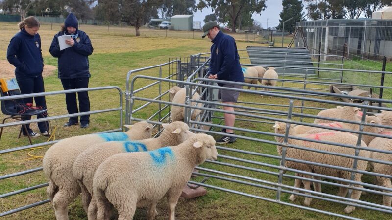 Ag learning at Cowra High School