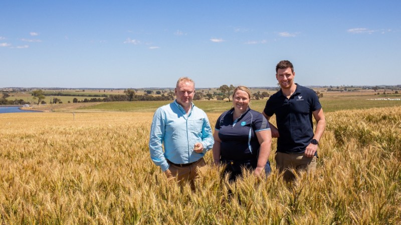 Agronomeye: 360-view for farmers to turbocharge business