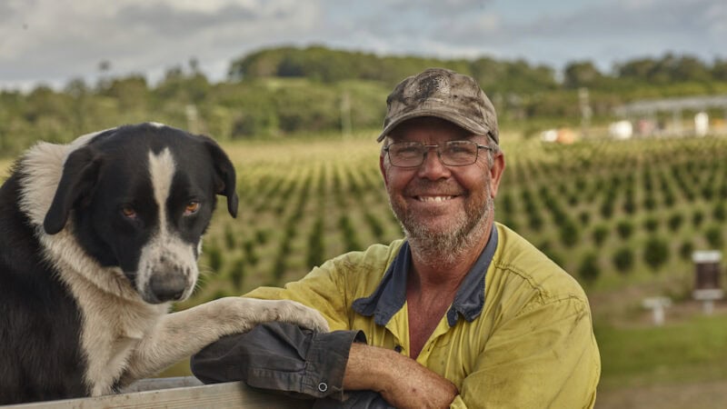 Going nutty: the macadamia industry