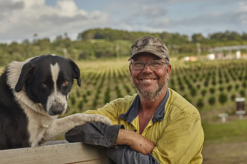 Going nutty: the macadamia industry