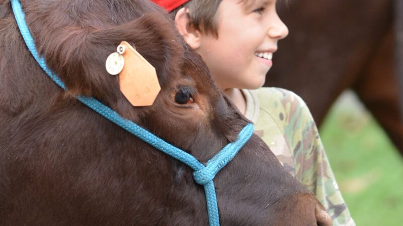 Agriculture Matters at Bowraville Central School