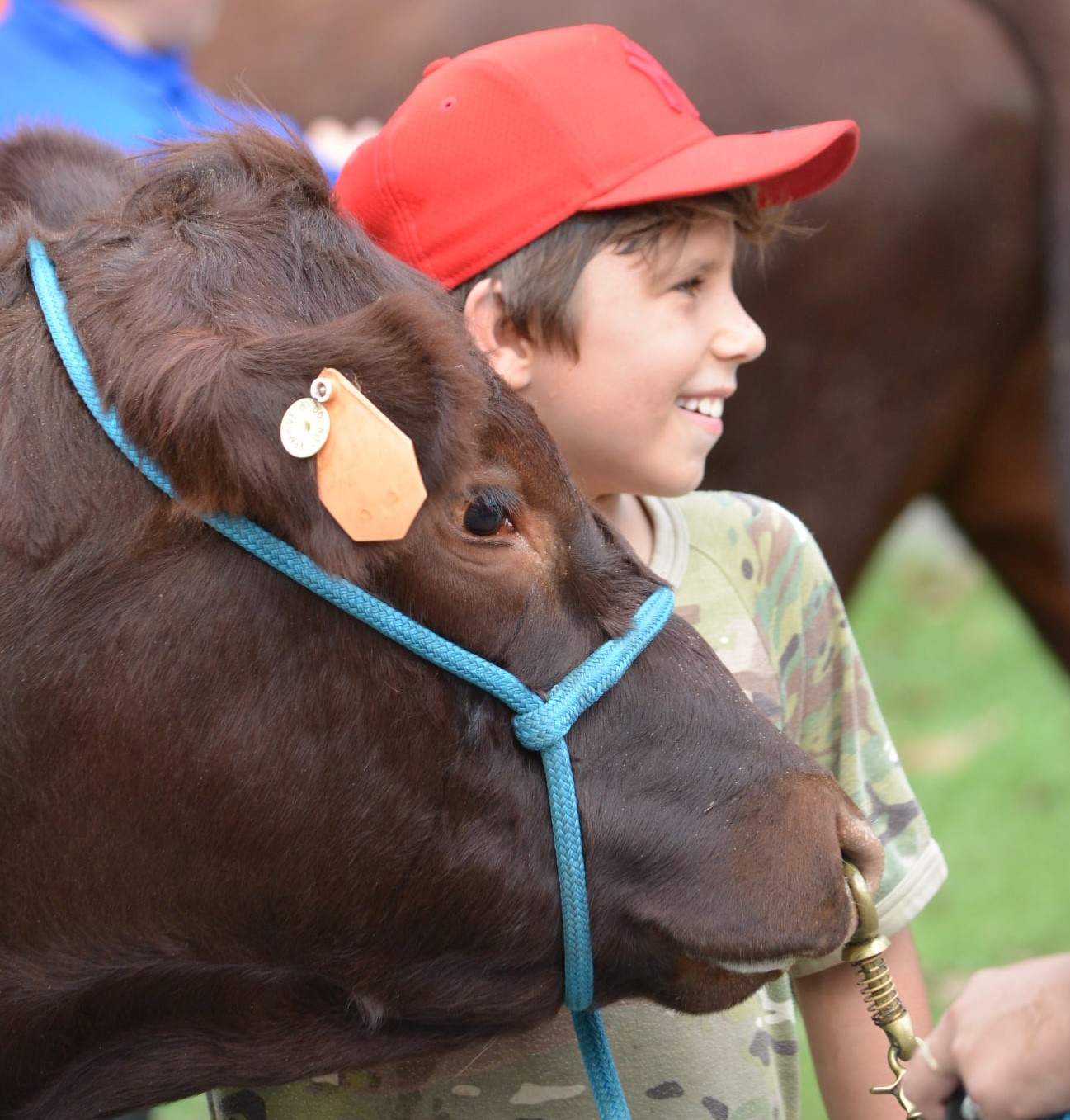 Agriculture Matters at Bowraville Central School