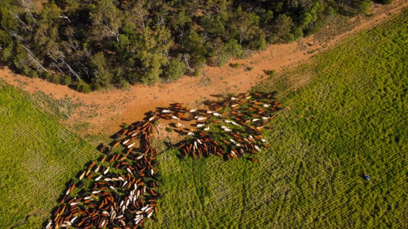 Cash for soil carbon projects on farms