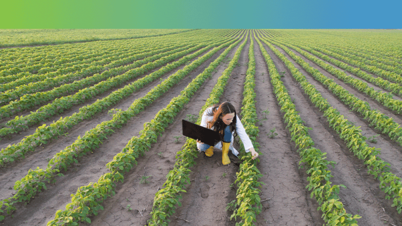 Connectivity underpins the growth and success of Australian AgriTech