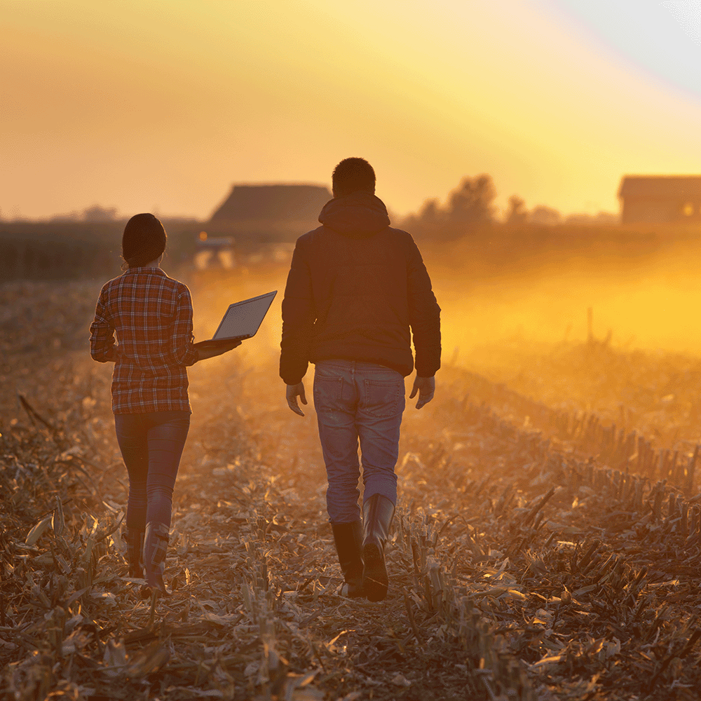 NSW Farmers advocate for payroll tax removal