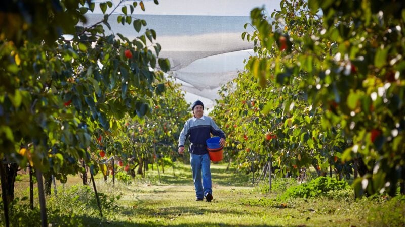 Farmers not receiving price rises