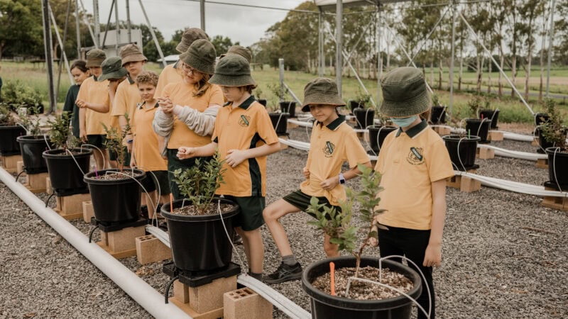 Kids to Farms heads into term three