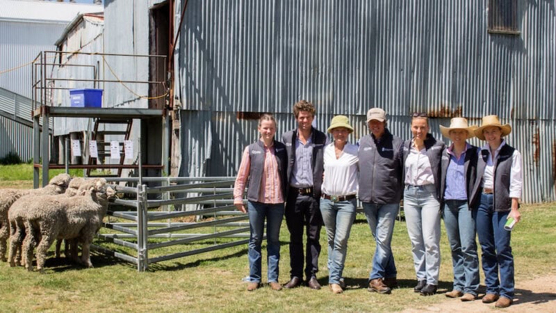 Meet the Smiths, and Love Merino