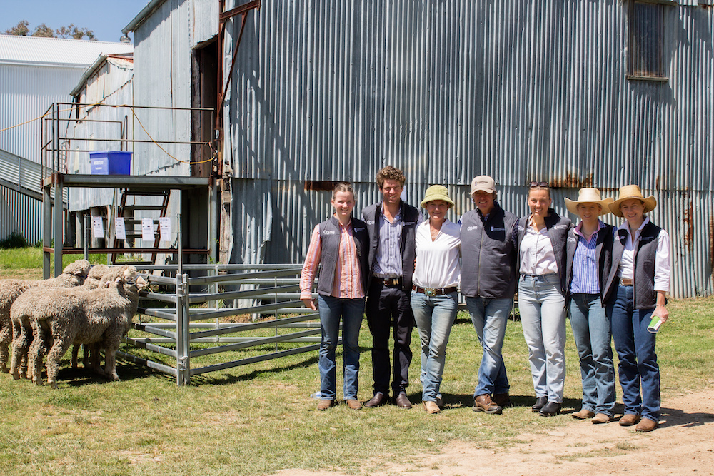 Meet the Smiths, and Love Merino