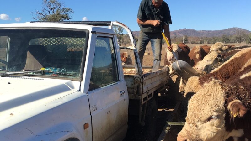 Rosy future for red meat in New South Wales