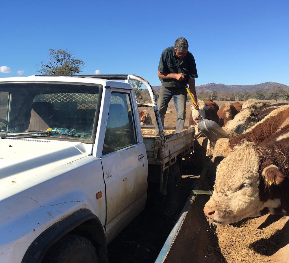 Rosy future for red meat in New South Wales